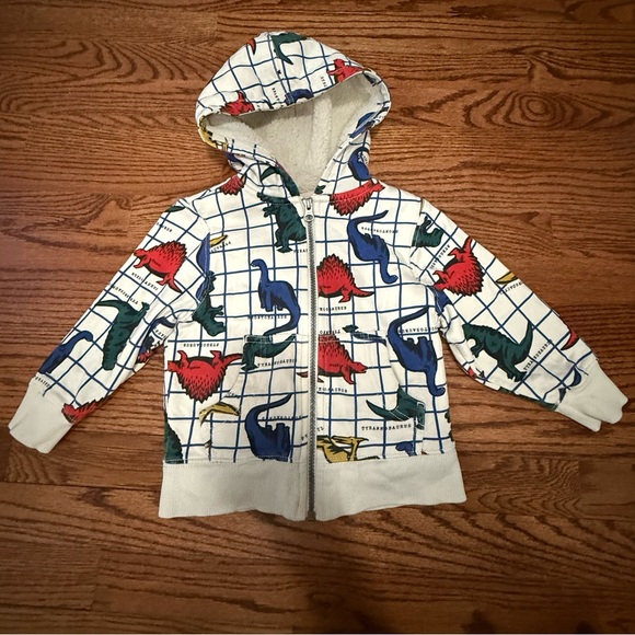 Hanna Andersson Other - Hanna Andersson Sherpa Lined Dinosaur Hoodie 3T